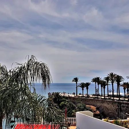 Carabeo